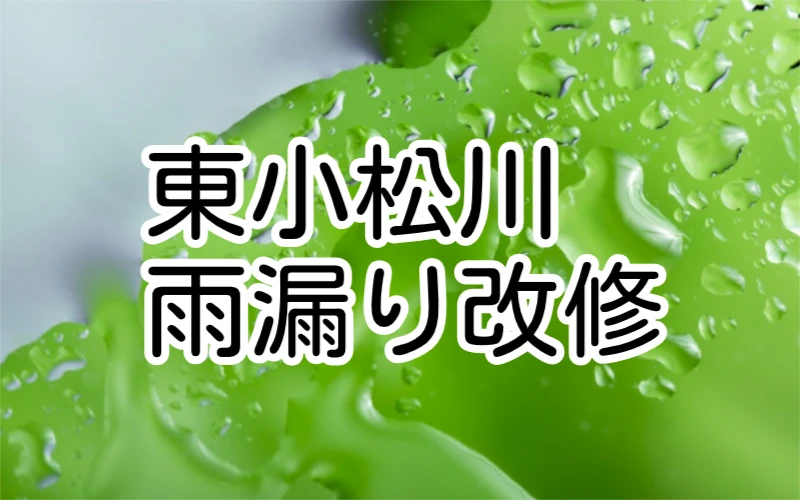 ダウンロード (1)